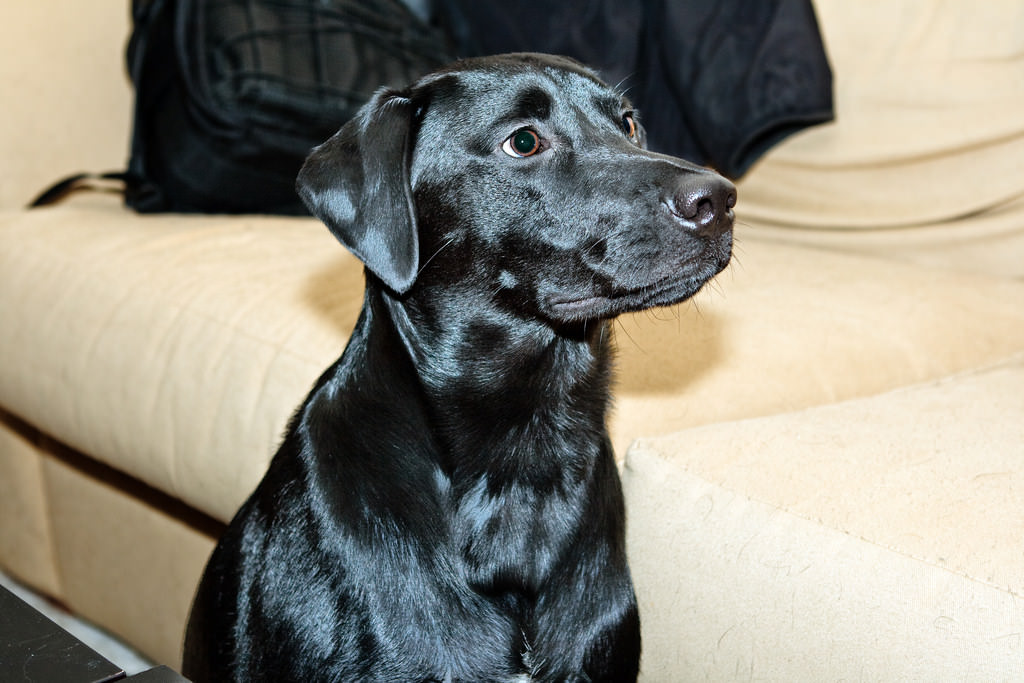 Create a Calm Environment