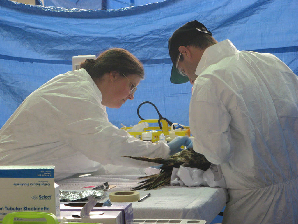 Is the Staff Qualified and Professional?