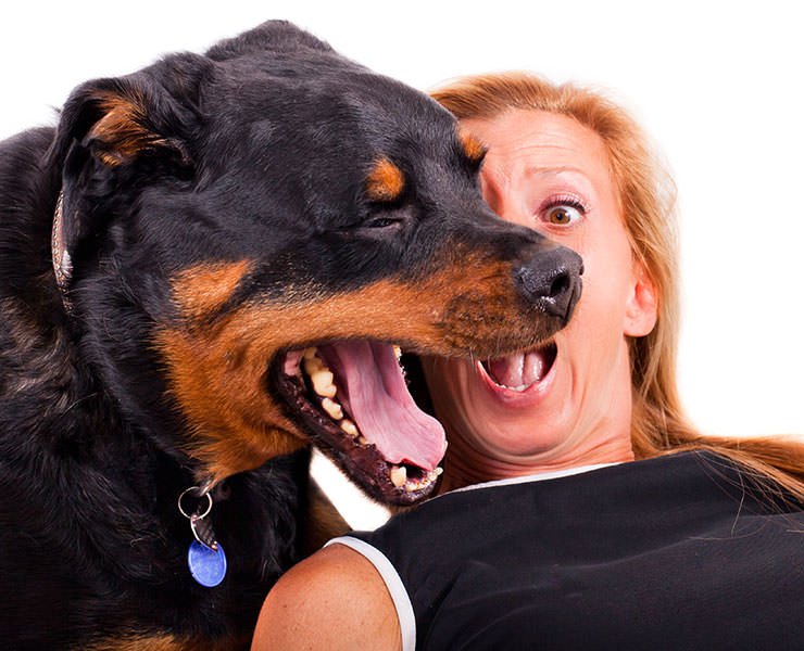 shutterstock_111267374