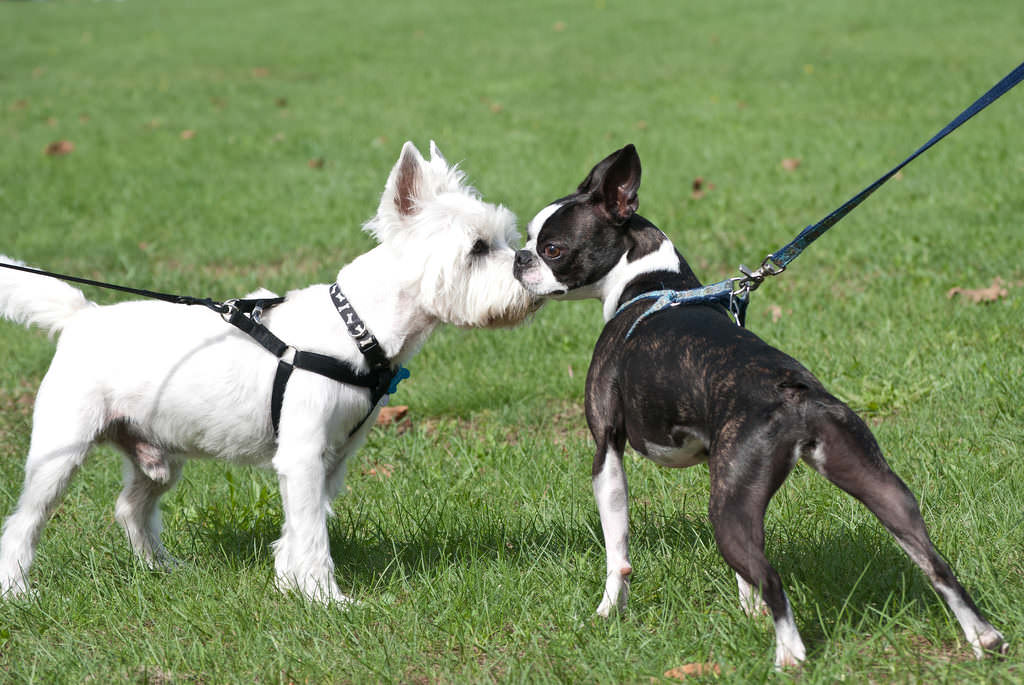 1.Determine a Schedule