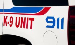 Ohio Marine Saved After Dog Dials 911