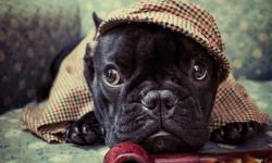 10748297_887525254593718_1971809282_n