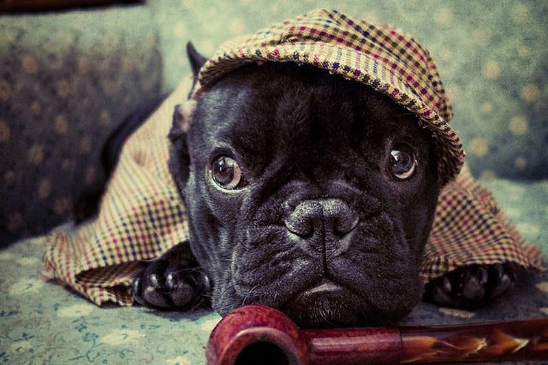 10748297_887525254593718_1971809282_n