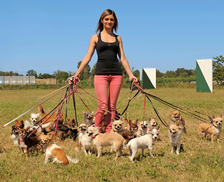 iStock_000020982868_Medium