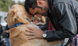 11168535_938057822938482_6249049466305223117_n