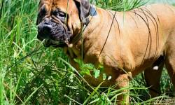 shutterstock_298910138