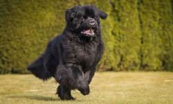 shutterstock_261070976