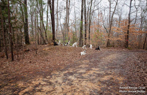 10271490_1137319192968068_7335158003733956450_n