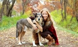 shutterstock_226383391