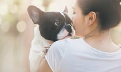 shutterstock_285546257