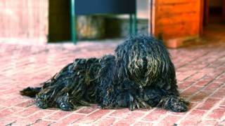 shutterstock_220307602