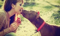 shutterstock_283662419