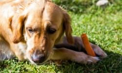 shutterstock_429924097