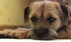 shutterstock_373600522