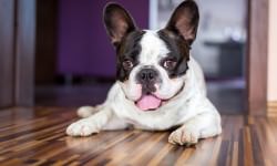 shutterstock_207796900